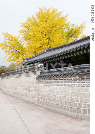 景色 観光 観光地 90858138