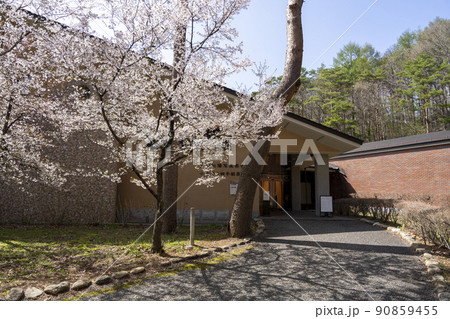 岡田紅陽写真美術館　小池邦夫絵手紙美術館 90859455