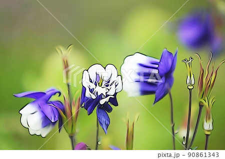 パステル調　”満開のオダマキの花”　イラストイメージ 90861343