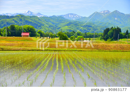 長野県栄村 原向地区(長野県栄村)【2022.5】 90863177
