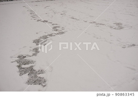 雪 雪 90863345