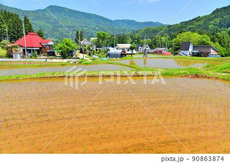 長野県栄村 栄村公民館(こらっせ)付近の風景(長野県栄村)【2022.5】 長野県栄村 栄村公民館(こらっせ)付近の風景(長野県栄村)【2022.5】 90863874