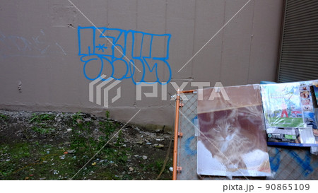 猫の写真と壁の落書きが絶妙に響きあう 猫の写真と壁の落書きが絶妙に響きあう 90865109