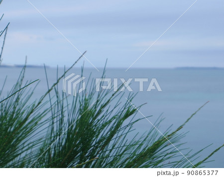 海沿い 90865377