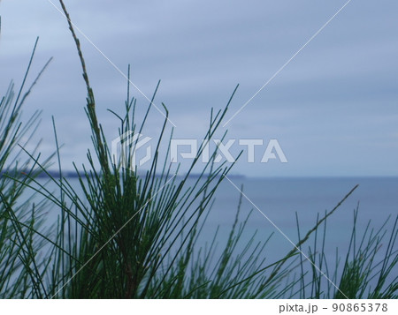 海沿い 90865378
