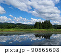 小さな水草の浮いている池に移り込む大きな雲と木々 90865698