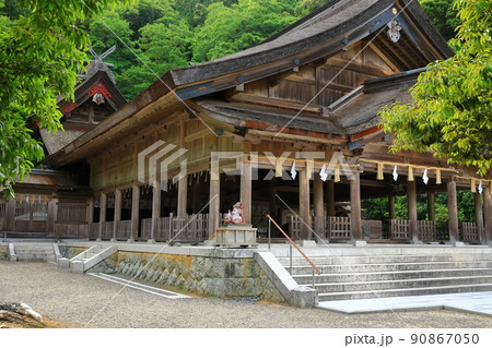【島根県】新緑の美保神社 90867050