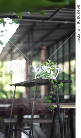 Nice plant and jar decorate on table Nice plant and jar decorate on table 90868499