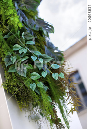 The nature in the city The nature in the city 90868632