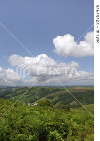 Hills and ferns landscape on a blue sky background Hills and ferns landscape on a blue sky background 90869486