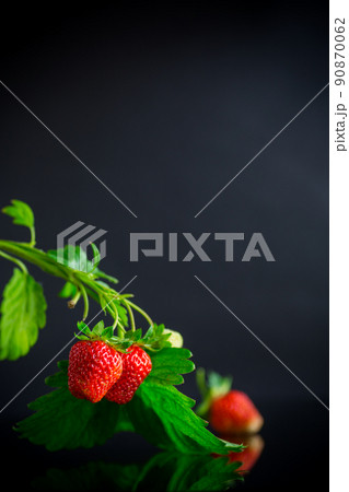 Ripe juicy red strawberry on black background 90870062