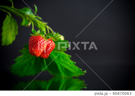 Ripe juicy red strawberry on black background Ripe juicy red strawberry on black background 90870063