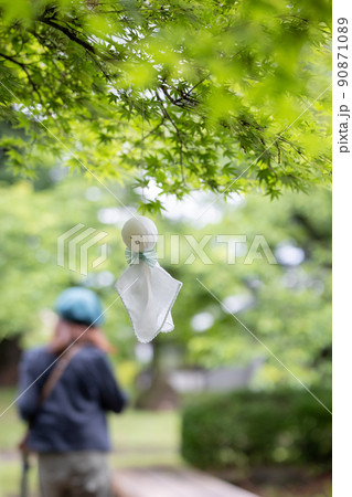 てるてる坊主と鮮やかな緑 てるてる坊主と鮮やかな緑 90871089