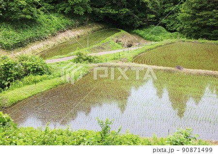持続可能な農業（山間地農業） 90871499