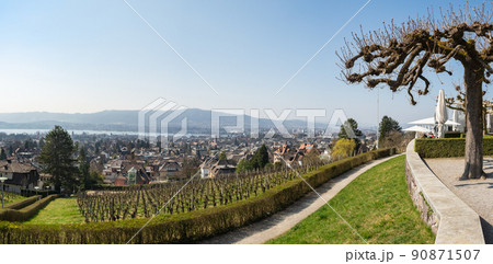 Zurich, Switzerland - March 26th 2022: View from Sonnenberg over vineyards towards the city. 90871507