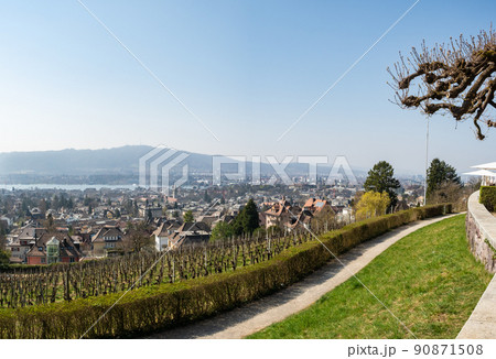 Zurich, Switzerland - March 26th 2022: View from Sonnenberg over vineyards towards the city. 90871508