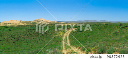 road in semi-desert steppe landscape in the vicinity of the Sarykum sand dune 90872923