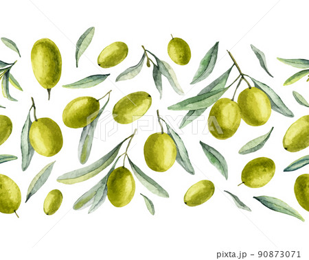 Seamless Border with Olives fruits and green leaves. Watercolor hand drawn vector Pattern for Oli label design. Botanical background 90873071