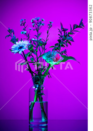 Summer bouquet of flowers, abstract floral composition in glass vase over purple background in neon light. Concept of floristry, decorations, creativity, decor Summer bouquet of flowers, abstract floral composition in glass vase over purple background in neon light. Concept of floristry, decorations, creativity, decor 90873362
