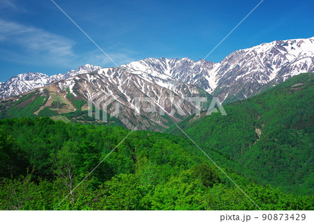 白馬岩岳マウンテンリゾートの山頂テラスから八方尾根と唐松岳を望む 90873429