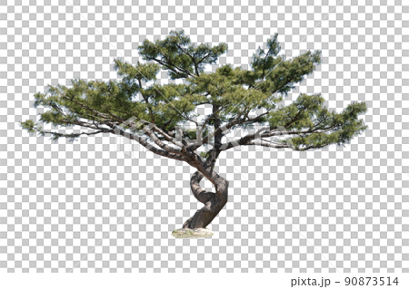 木頭,透明背景,地衣 木頭,透明背景,地衣 90873514