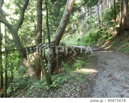 表丹沢県民の森・大倉～二俣・鍋割山等の道標（西山林道・神奈川県秦野市より） 90875678