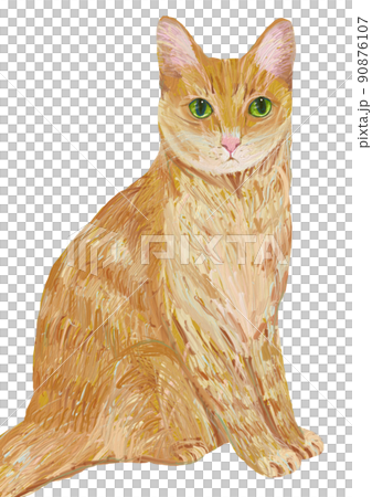 茶トラねこ 90876107