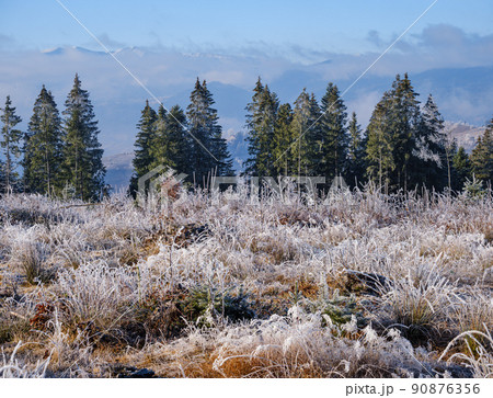 Winter coming. Last days of autumn, morning in mountain countryside peaceful picturesque hoarfrosted scene.  Ukraine, Carpathian mountains. 90876356