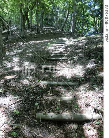 栗ノ木洞・登山道途中より（表丹沢県民の森・神奈川県秦野市） 90876373