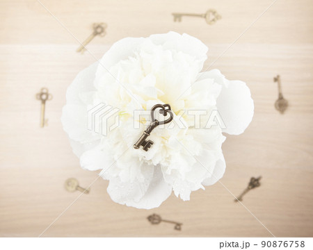 image of key flower water drop image of key flower water drop 90876758