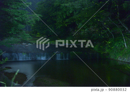 森の京都 水源の里 ホタル 森の京都 水源の里 ホタル 90880032