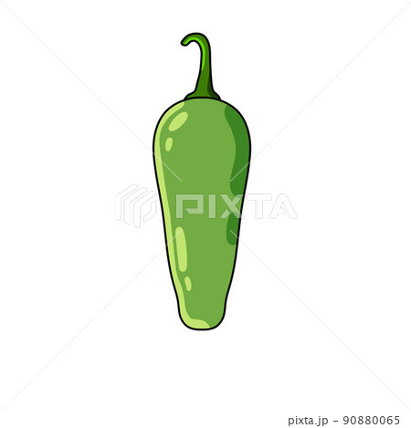 Jalapeno pepper. Spicy green chili. Mexican food. Isolated cartoon illustration 90880065