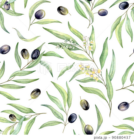 Watercolor seamless pattern of black olives. Hand painted illustration with olive branches flowers and leaves isolated on white background Watercolor seamless pattern of black olives. Hand painted illustration with olive branches flowers and leaves isolated on white background 90880437