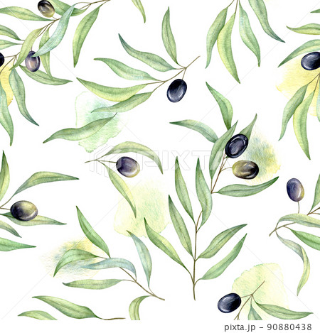 Watercolor seamless pattern of black olives. Hand painted illustration with olive branches flowers and leaves isolated on white background Watercolor seamless pattern of black olives. Hand painted illustration with olive branches flowers and leaves isolated on white background 90880438