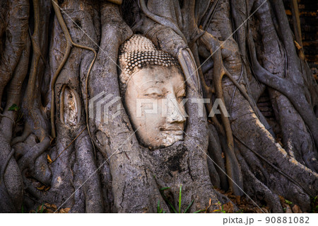 Wat Phra Mahathat temple with head statue trapped in bodhi tree in Phra Nakhon Si Ayutthaya 90881082