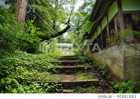 岩湧寺山門への草深い階段 90881883