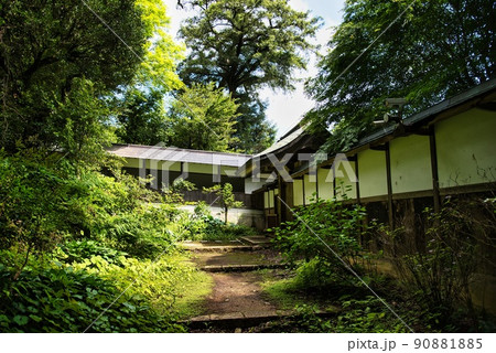 岩湧寺山門への緑豊かな道 岩湧寺山門への緑豊かな道 90881885