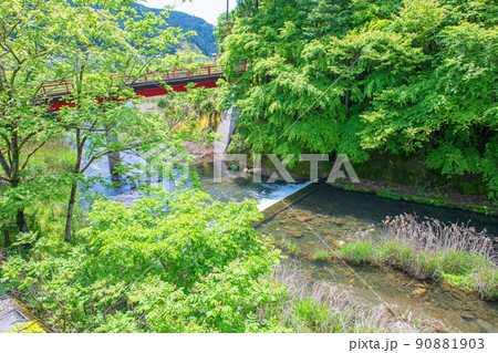 有馬ダム下流 入間川合流地点付近 春 新緑川風景 有馬ダム下流 入間川合流地点付近 春 新緑川風景 90881903
