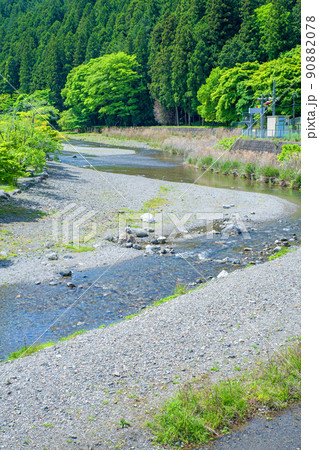 入間川(名栗川) 相生橋からの眺め 春 新緑川風景 入間川(名栗川) 相生橋からの眺め 春 新緑川風景 90882078