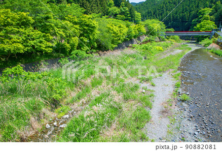 入間川(名栗川)　相生橋からの眺め　春　新緑川風景 90882081