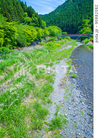入間川(名栗川) 相生橋からの眺め 春 新緑川風景 入間川(名栗川) 相生橋からの眺め 春 新緑川風景 90882082