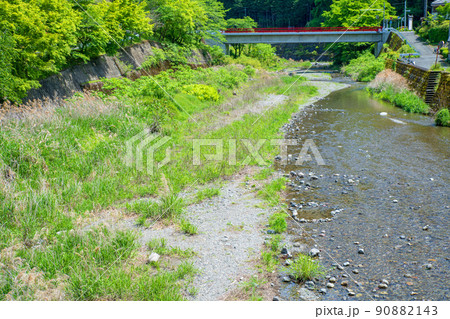 入間川(名栗川) 相生橋から上流方面の眺め 春 新緑川風景 入間川(名栗川) 相生橋から上流方面の眺め 春 新緑川風景 90882143