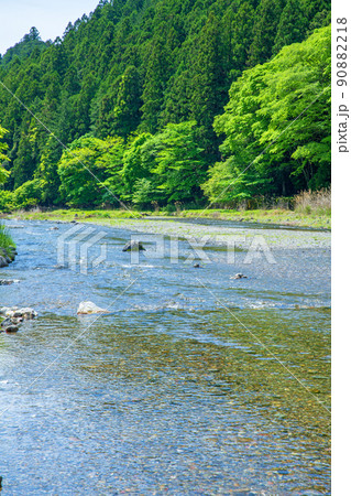 入間川(名栗川) 相生橋から下流弁天河原方面の眺め 春 新緑川風景 入間川(名栗川) 相生橋から下流弁天河原方面の眺め 春 新緑川風景 90882218
