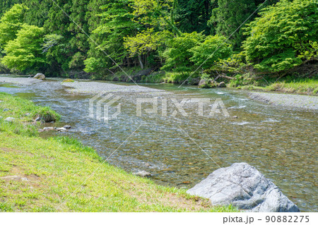 入間川(名栗川) 弁天河原付近の眺め 春 新緑川風景 入間川(名栗川) 弁天河原付近の眺め 春 新緑川風景 90882275