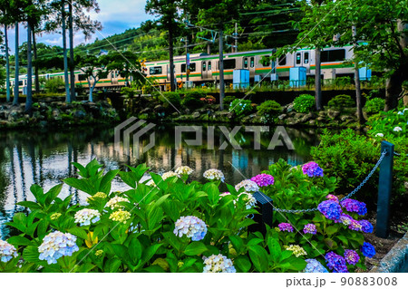 紫陽花と鉄道 紫陽花と鉄道 90883008