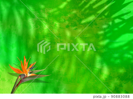 美しい夏の花ストレリチアとヤシの葉の影、トロピカルグリーンの背景 90883088