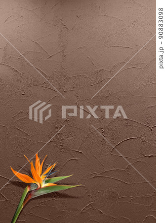 コテ塗りカフェブラウンの壁と、トロピカルなストレリチア 90883098