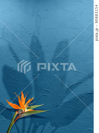 コテ塗りで仕上げたチョークブルーの壁と、トロピカルなストレリチアと葉のシルエット 90883154