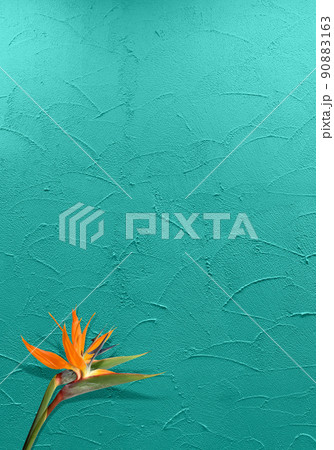 トロピカルな極楽鳥花と、ターコイズのコテ塗り壁の背景 トロピカルな極楽鳥花と、ターコイズのコテ塗り壁の背景 90883163