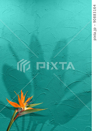 トロピカルなストレリチアと葉っぱの影、ターコイズのコテ塗り壁 90883164